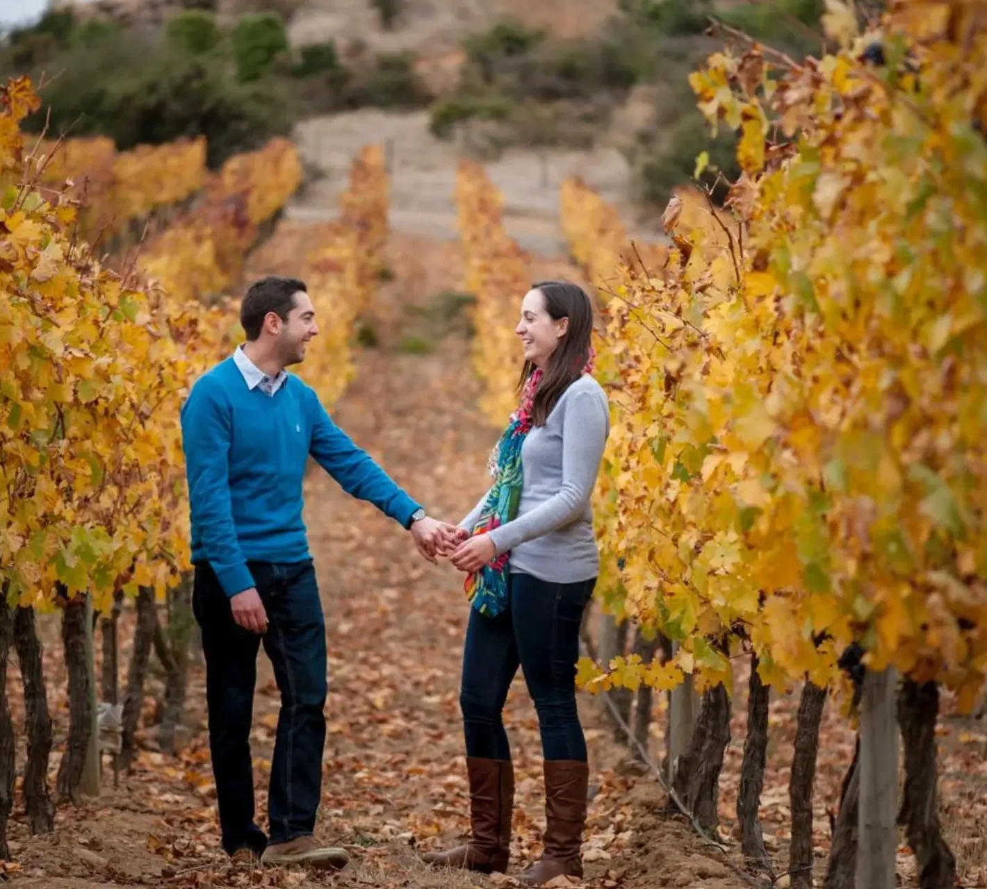 Diseño sin título - 2026-03-13T202531.295