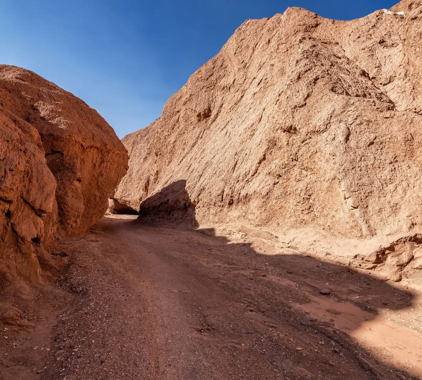 Diseño sin título - 2026-03-13T202636.390