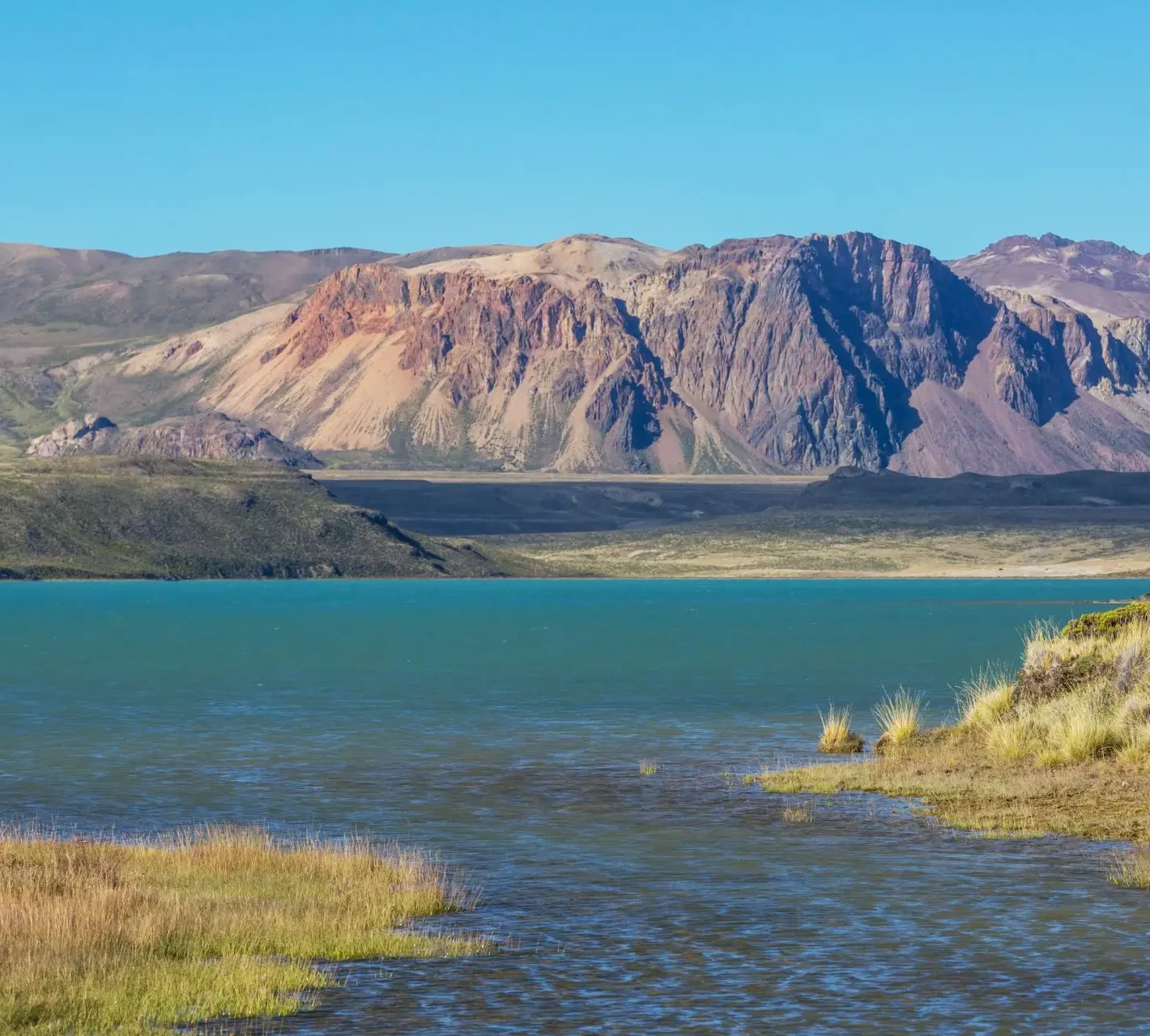 Diseño sin título - 2026-03-13T202747.651