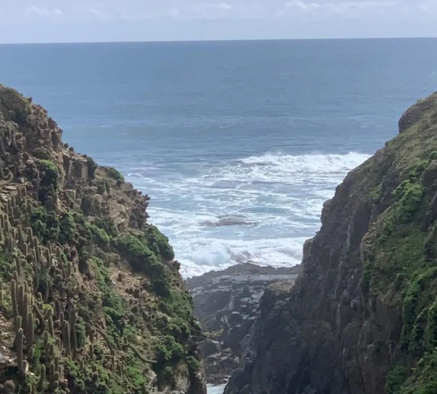 Diseño sin título - 2026-03-13T202903.826