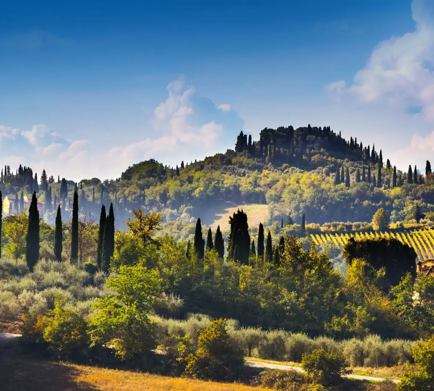 Diseño sin título - 2026-03-13T203010.828