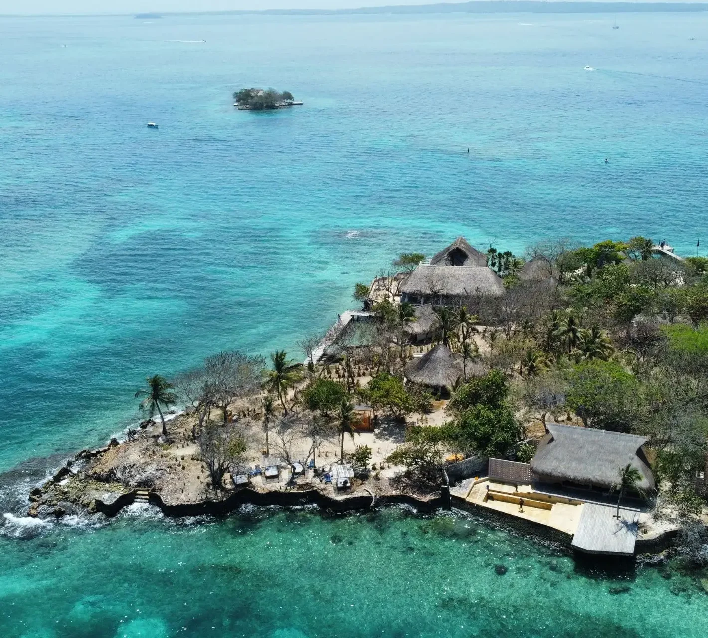 Diseño sin título - 2026-03-13T203020.328